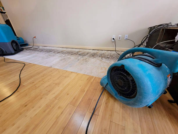 Professional Water Damage Repair technician working in Ringwood, NJ